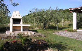 Villa degli Ulivi e delle Rose